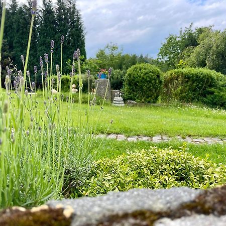 Apartman U Mluvicich Kamenu Stare Krecany Dış mekan fotoğraf
